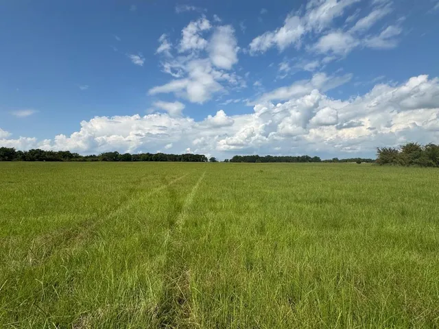 a view of a lake with houses in the back