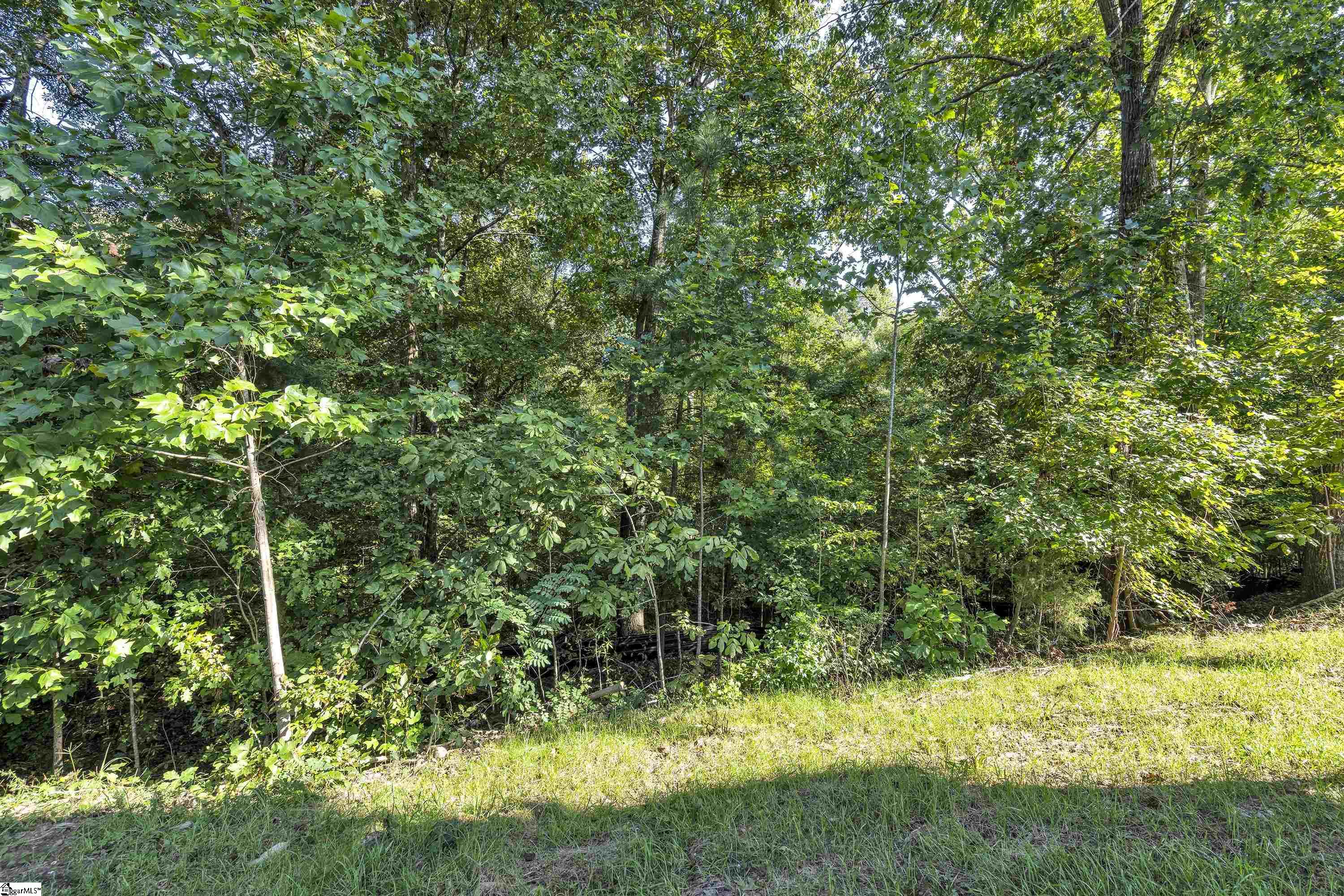 440 Congaree Road Roebuck, SC 29376 - Photo 30 of 30