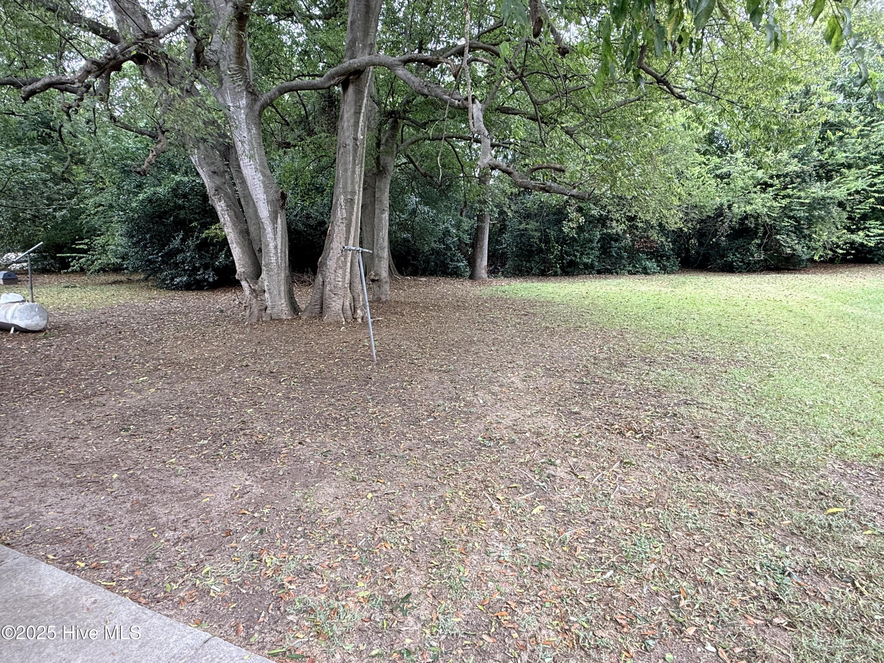 603 Pine Street Clinton, NC 28328 - Photo 14 of 15 Photo Oct 14 2025, 1 45 36 PM