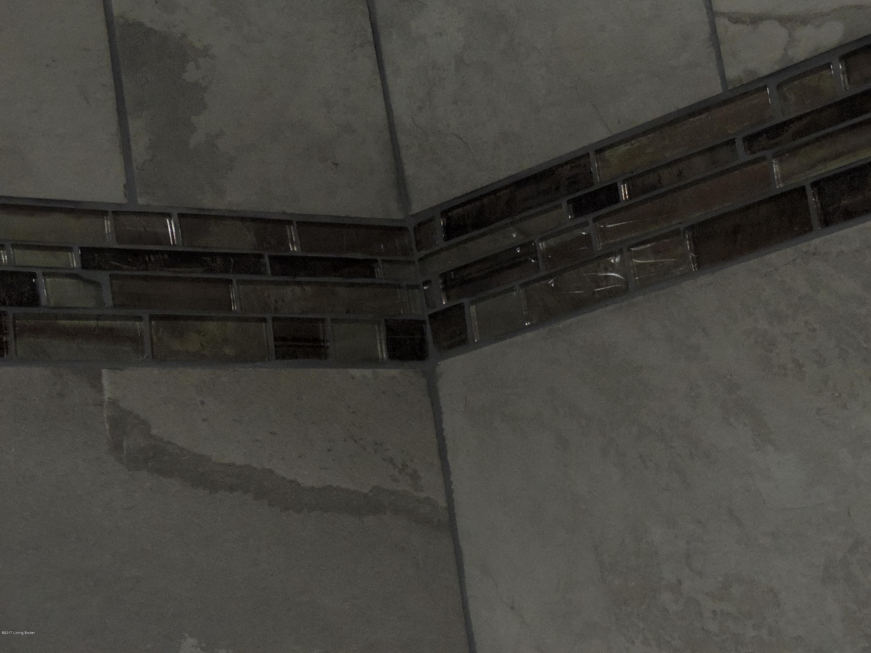 1365 Lenore Road Coxs Creek, KY 40013 - Photo 24 of 35 Tiled Shower 2