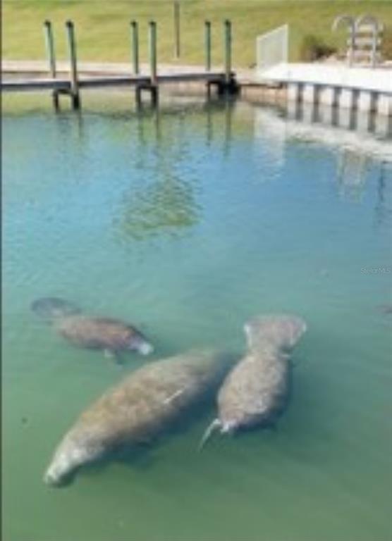 818 Bogie Street Venice, FL 34285 - Photo 27 of 28