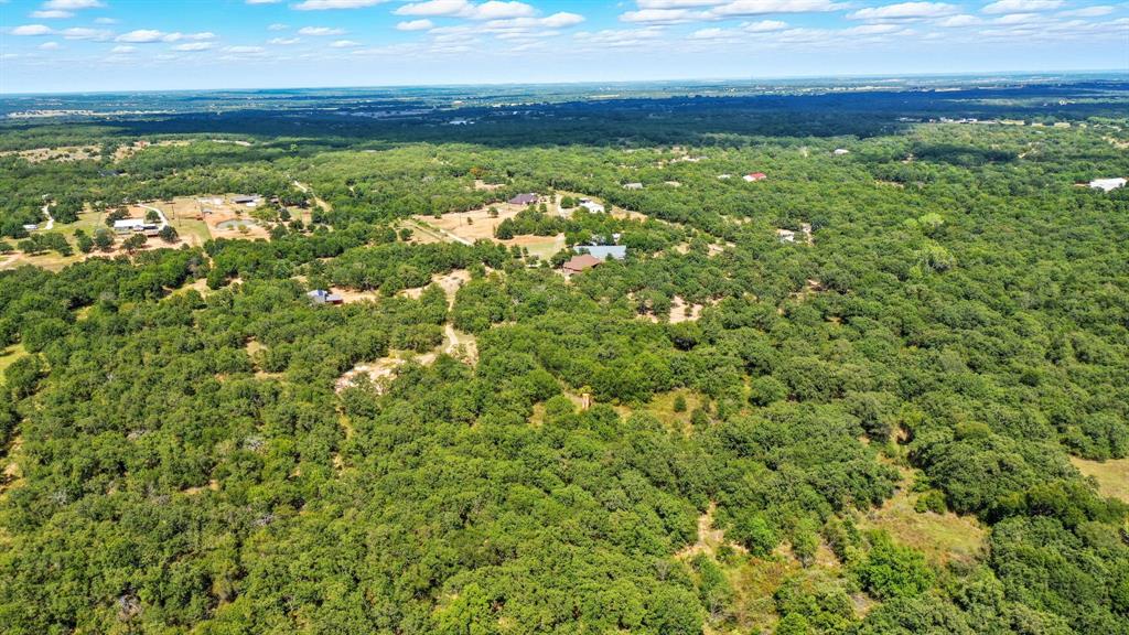 785 Jordan Road Poolville, TX 76487 - Photo 10 of 17 Bird's eye view of a forest