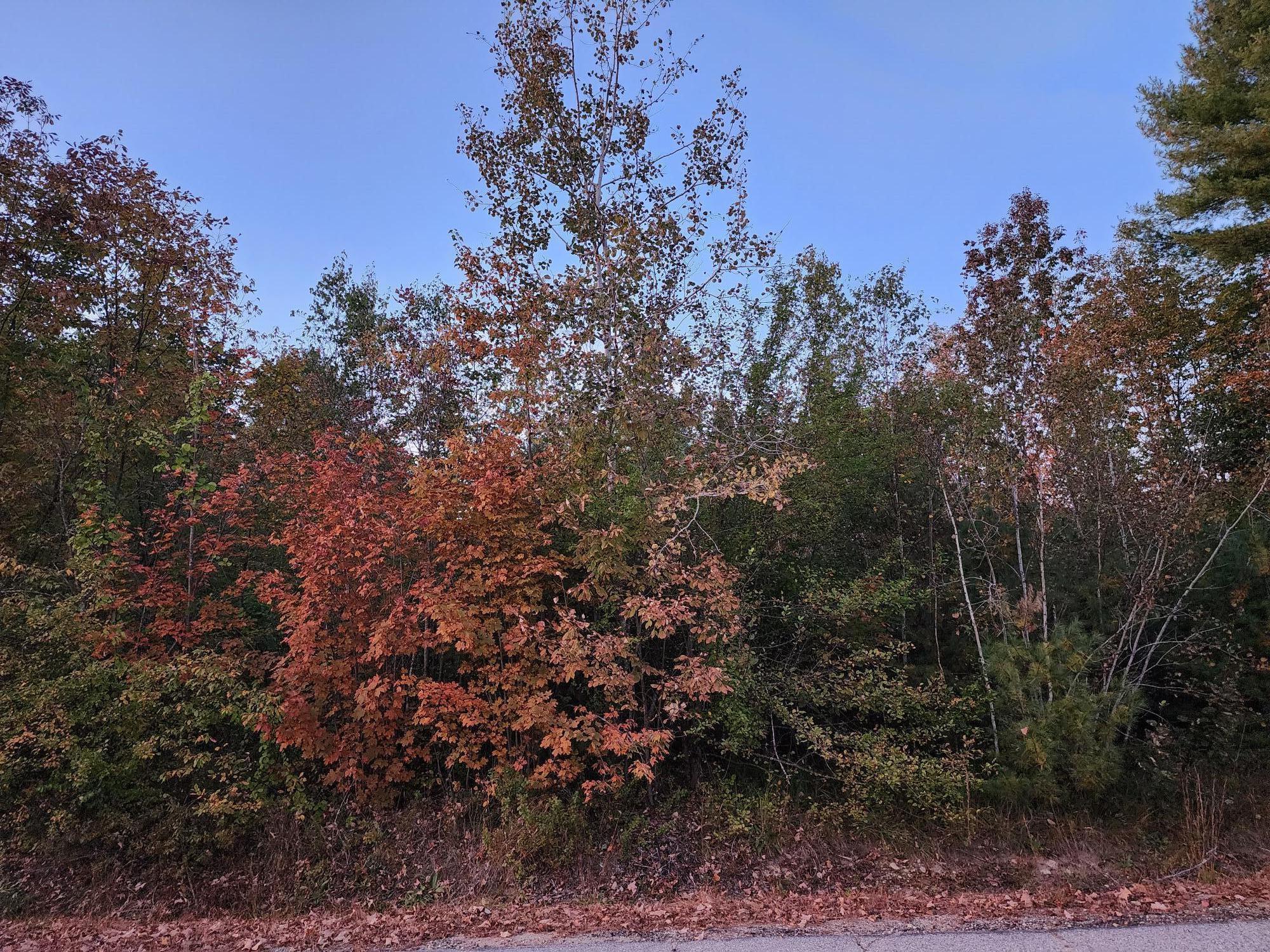 Lot #1 Jackson Crossing Road South Paris, ME 04281 - Photo 2 of 10