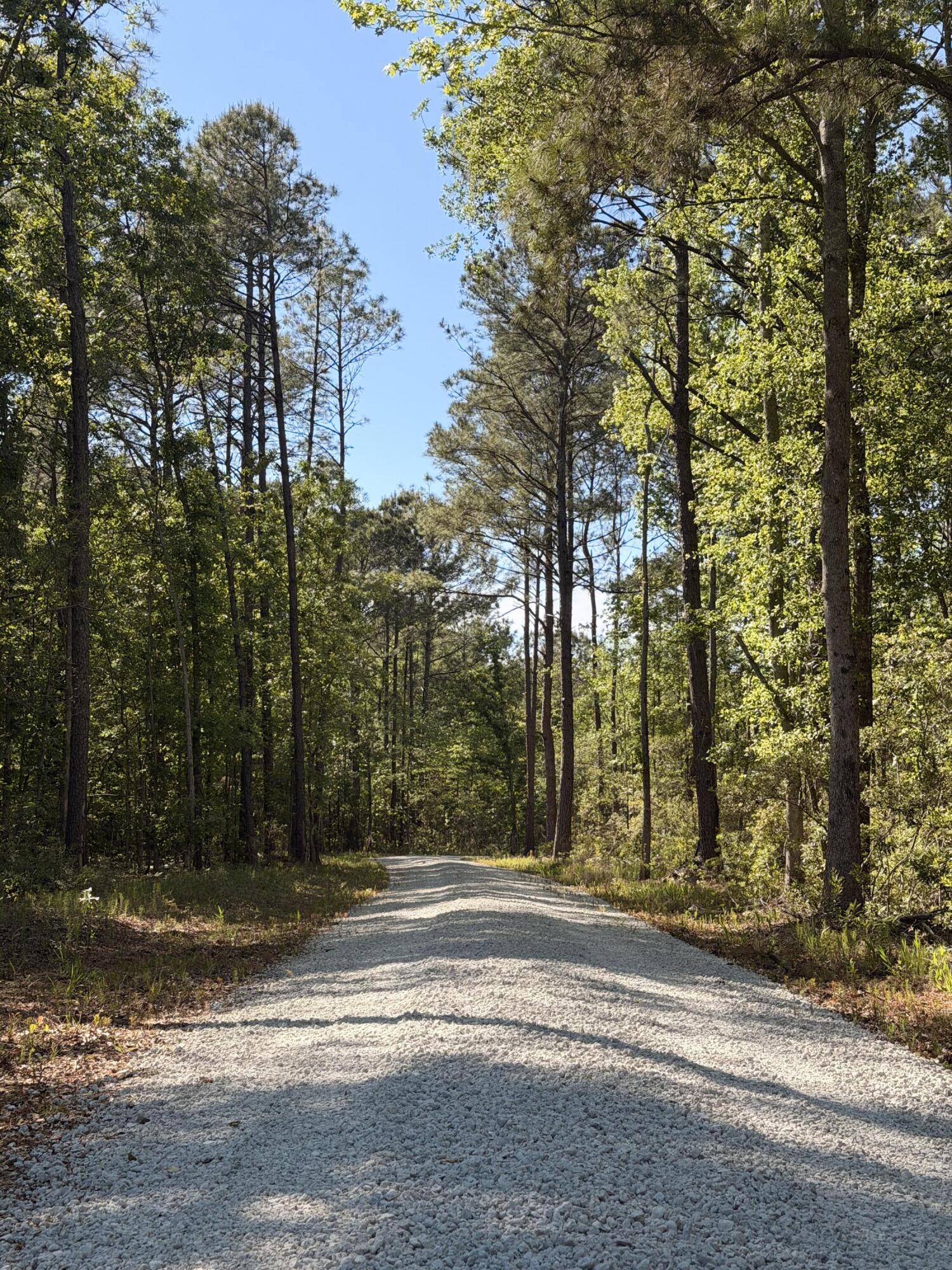 1 Cottage Lane St. Stephen, SC 29479 - Photo 10 of 12 10_beyc6a7e3f5da5320