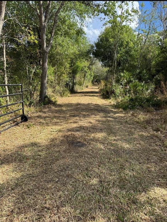 36564 Singletary Road Myakka City, FL 34251 - Photo 18 of 19 a view of a yard with a tree