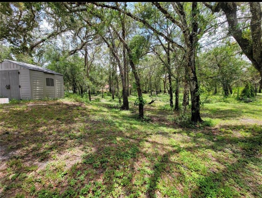 36564 Singletary Road Myakka City, FL 34251 - Photo 8 of 19 a view of outdoor space with trees