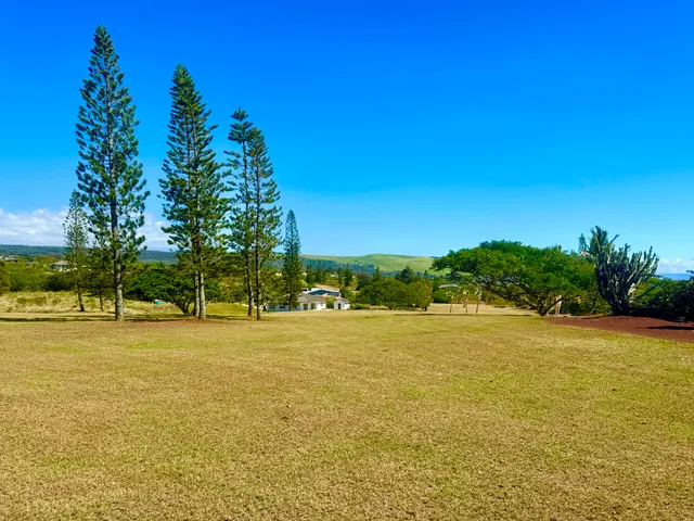 a view of an ocean and beach