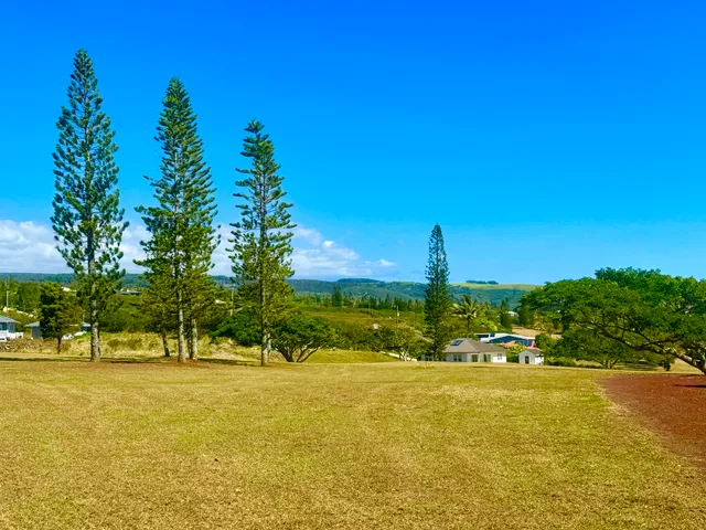 a view of a lake with houses
