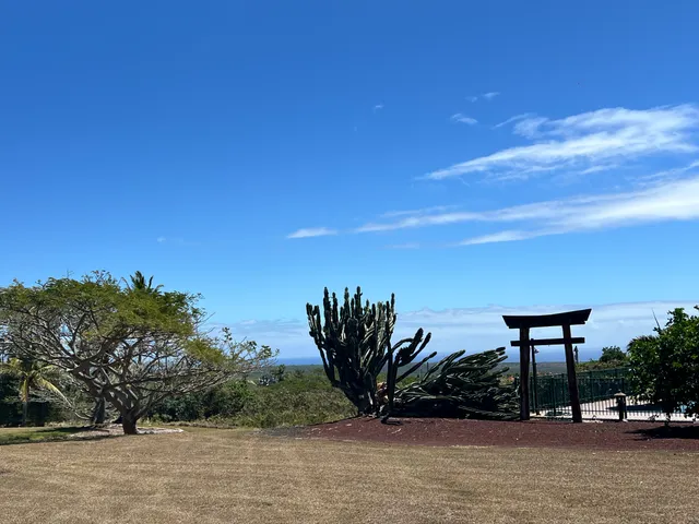 $78,000 | 193 Kia Lua Place, Naalehu, HI 96772