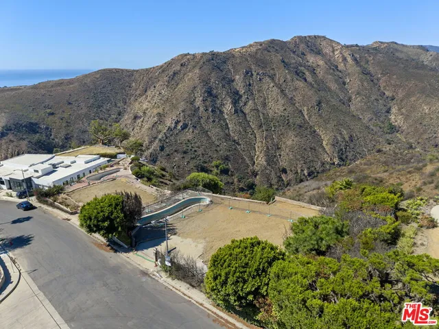 a view of a backyard with plants