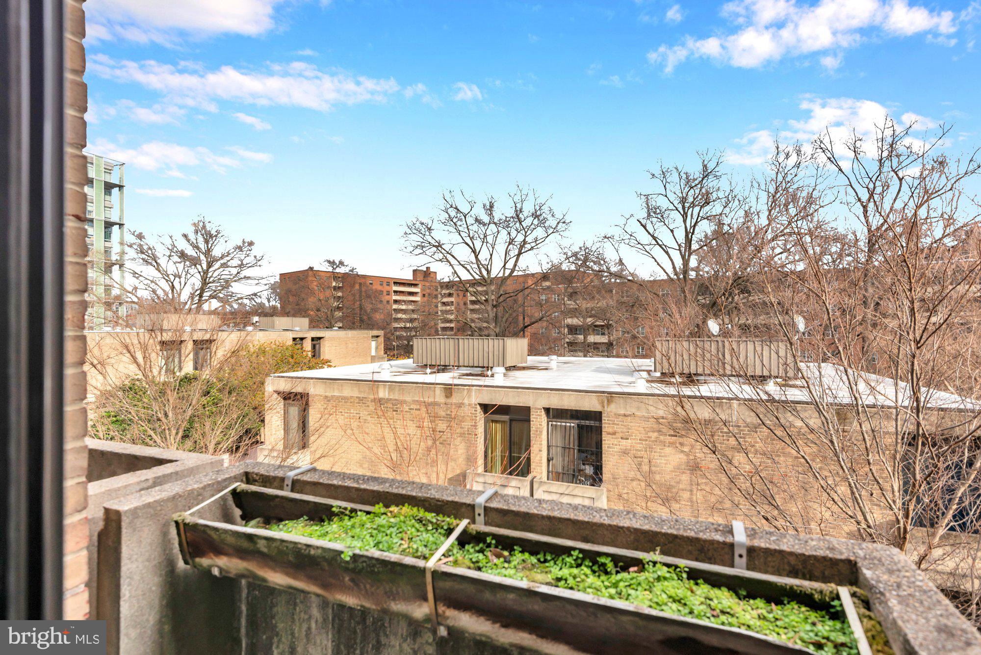 1263 Delaware Avenue Southwest, Unit 53 Washington, DC 20024 - Photo 28 of 65 Juliet Balcony in Bedroom #2