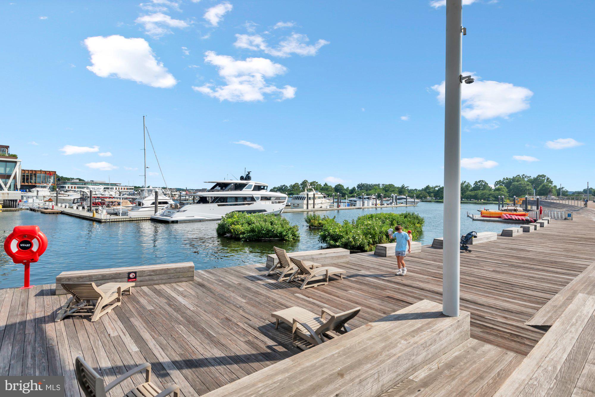 1263 Delaware Avenue Southwest, Unit 53 Washington, DC 20024 - Photo 54 of 65 Water Taxi too!