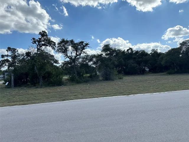a view of a house with a big yard and a large tree