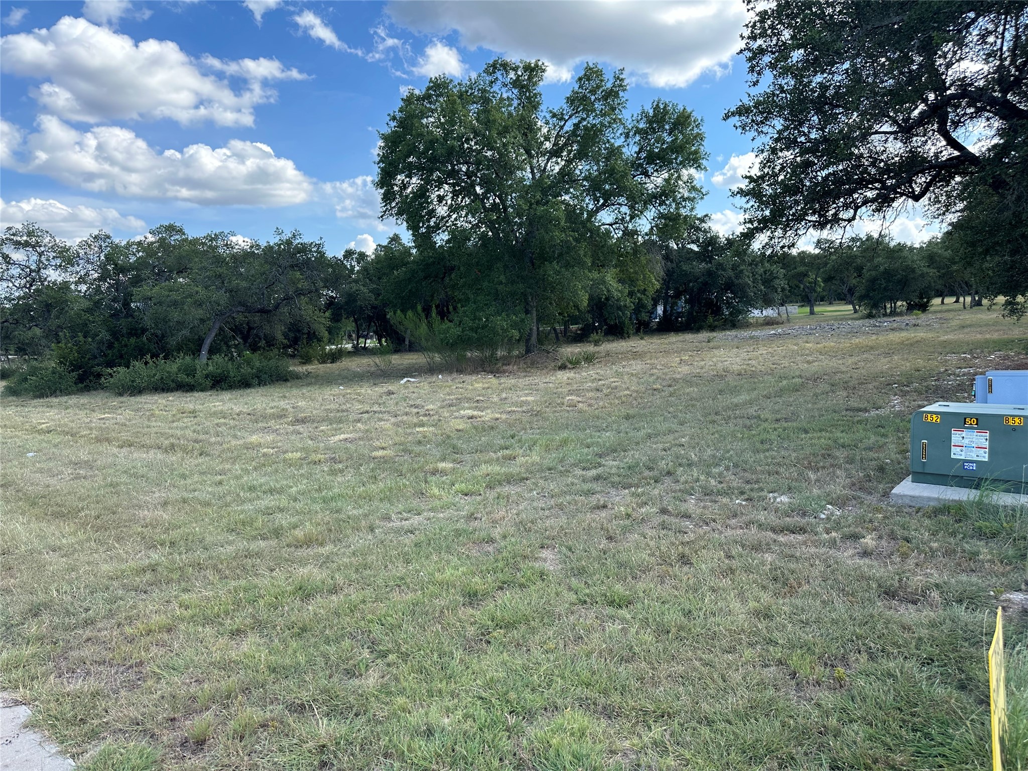 2201 Whitt Fls Cove Leander, TX 78641 - Photo 4 of 6