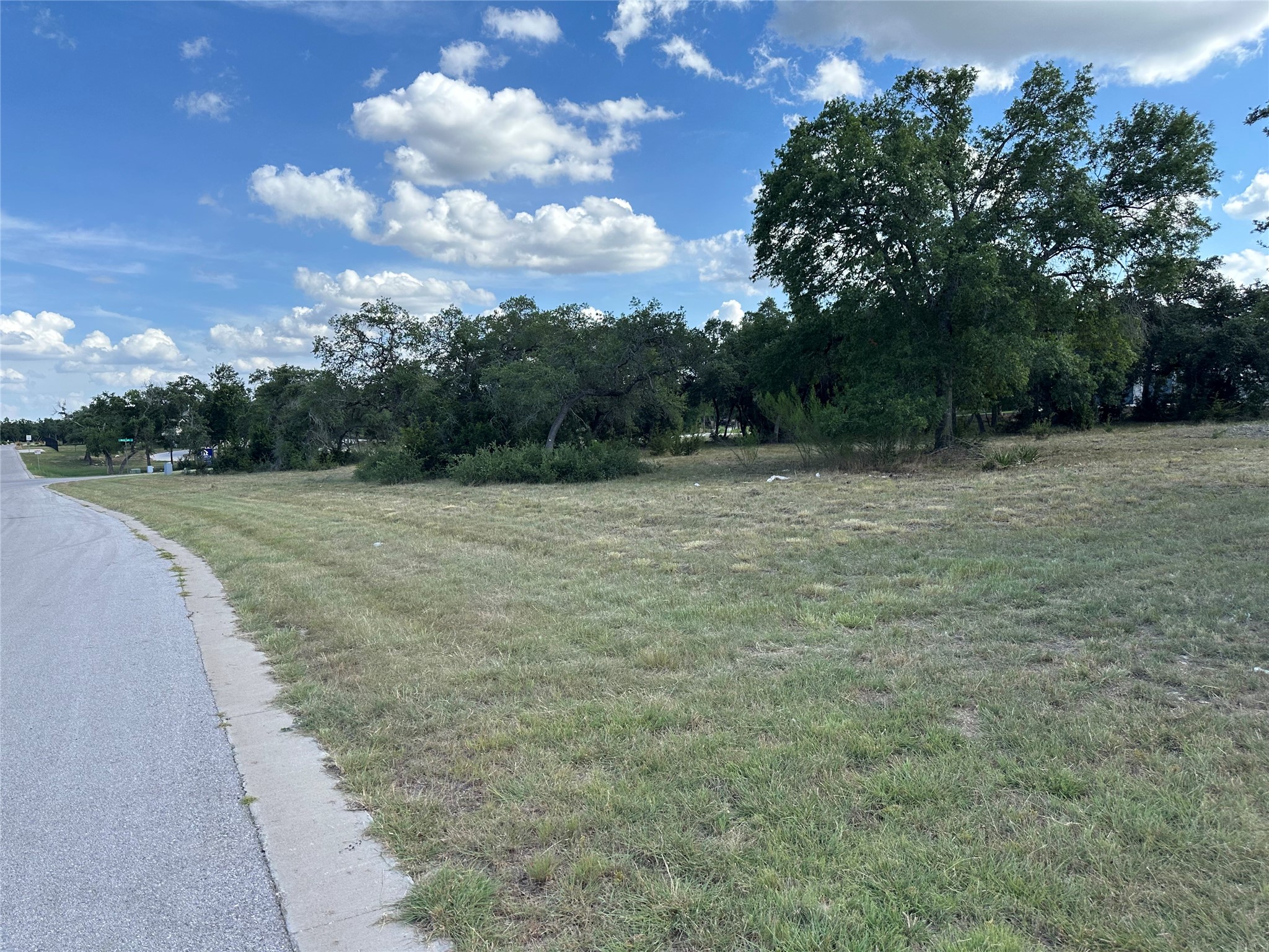 2201 Whitt Fls Cove Leander, TX 78641 - Photo 5 of 6