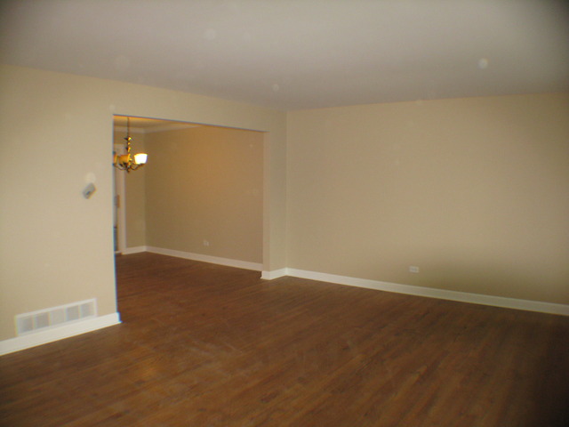 433 Hackberry Road Frankfort, IL 60423 - Photo 5 of 13