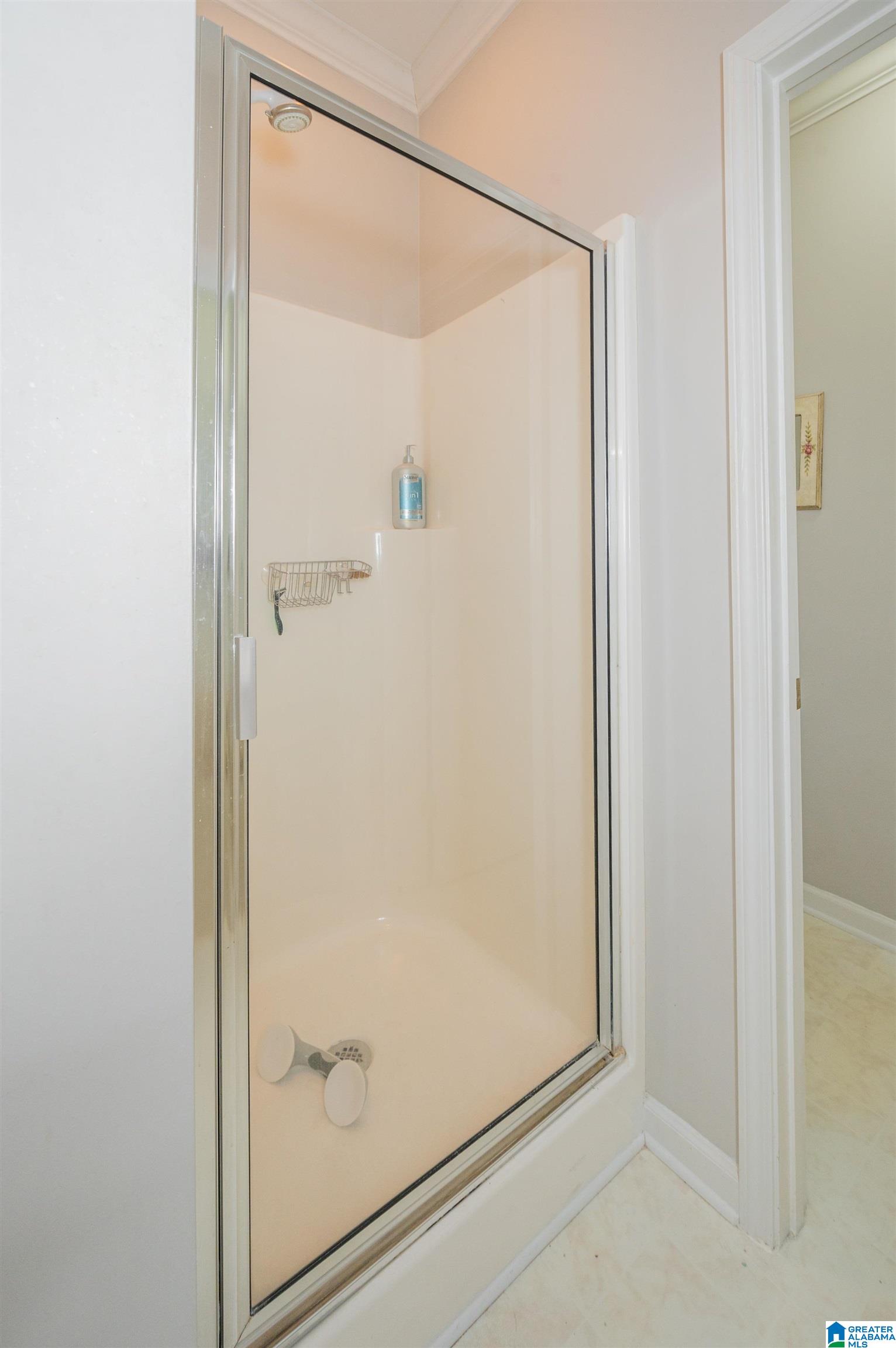 253 Springdale Drive Mount Olive, AL 35117 - Photo 17 of 24