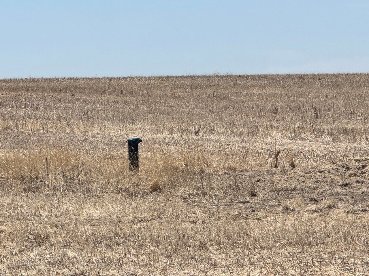 16 County Road Merino, CO 80741 - Photo 7 of 23