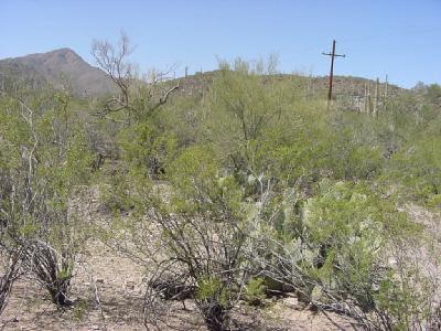 0 North El Adobe Ranch Road Tucson, AZ 85745 - Photo 2 of 7 Gallery Image 2