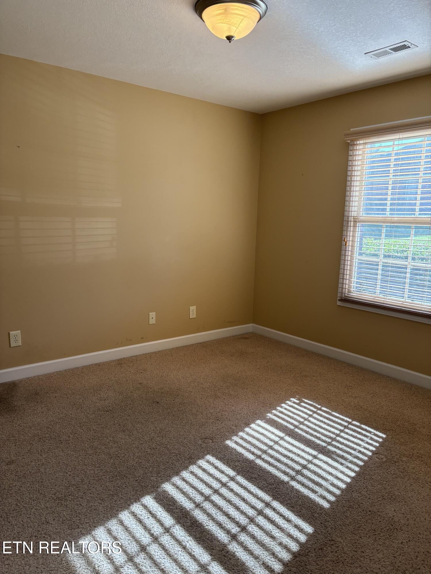 9035 Rocky Ridge Way, Unit 9035 Knoxville, TN 37924 - Photo 20 of 29 IMG_6043