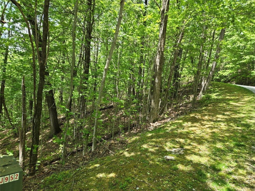 Lot 25 Panther Ridge Road Lake Toxaway, NC 28747 - Photo 3 of 3 Gallery Image 3