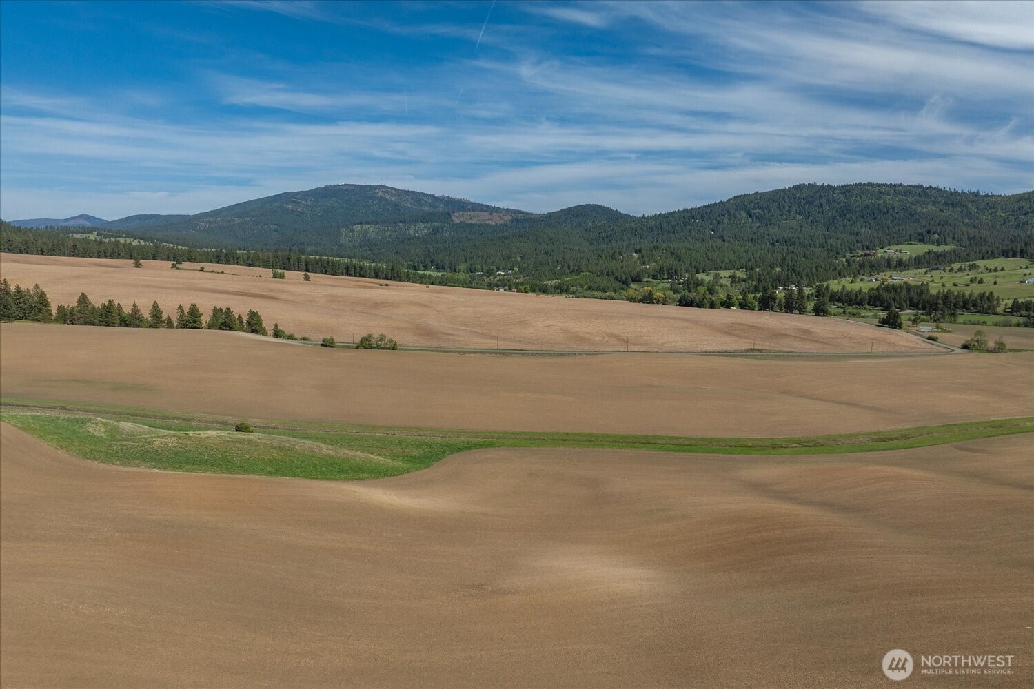 -xxx South Jackson Road, Unit LOT 17 Mica, WA 99023 - Photo 37 of 40 a view of lake view and mountain