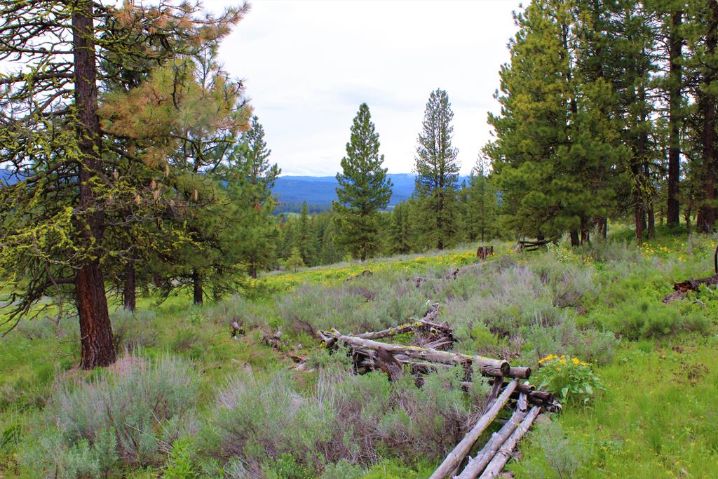 3000 Fish Lake Road New Meadows, ID 83654 - Photo 27 of 57