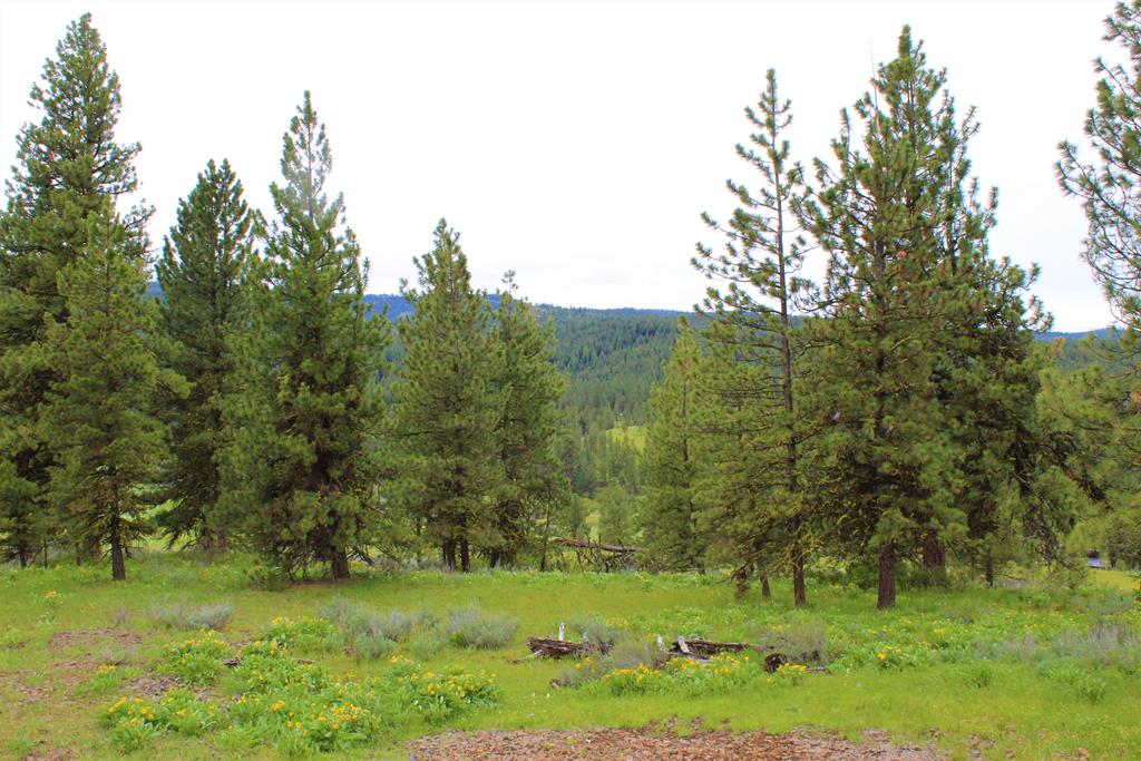 3000 Fish Lake Road New Meadows, ID 83654 - Photo 30 of 57