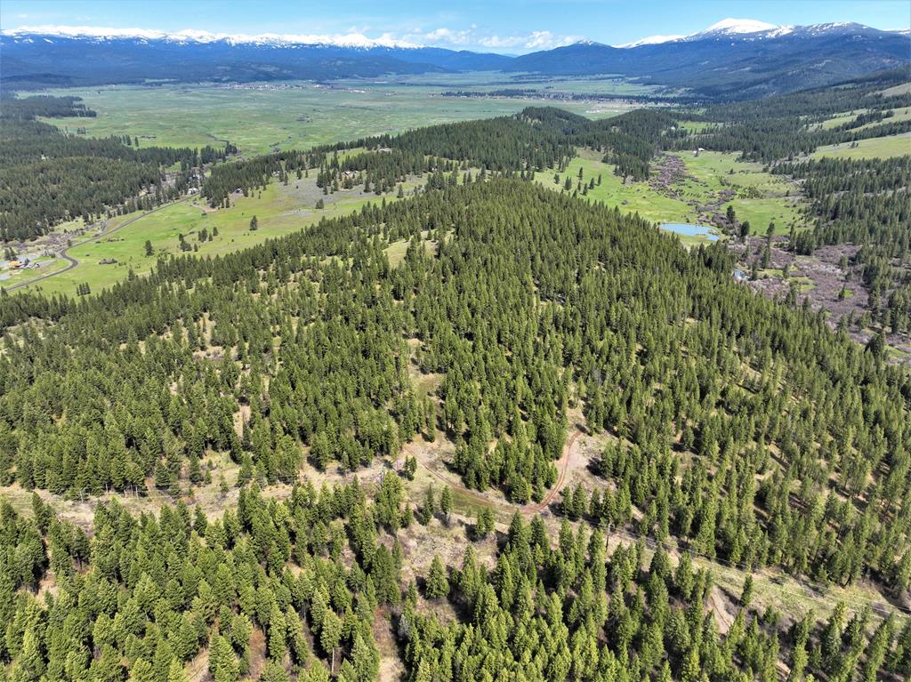 3000 Fish Lake Road New Meadows, ID 83654 - Photo 5 of 57