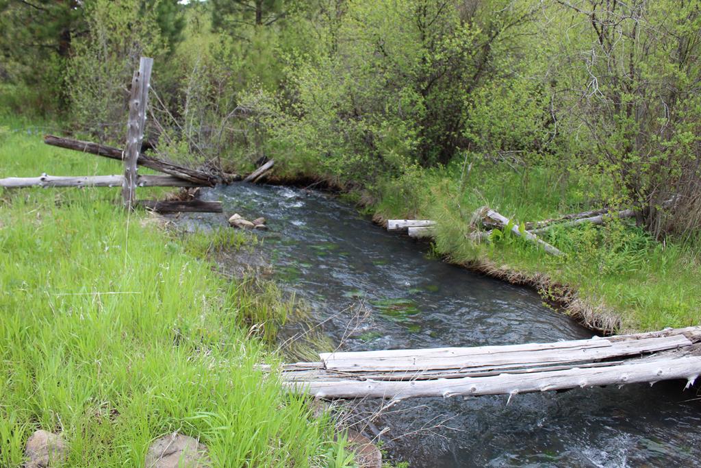 3000 Fish Lake Road New Meadows, ID 83654 - Photo 54 of 57