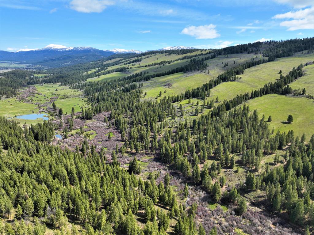 3000 Fish Lake Road New Meadows, ID 83654 - Photo 6 of 57