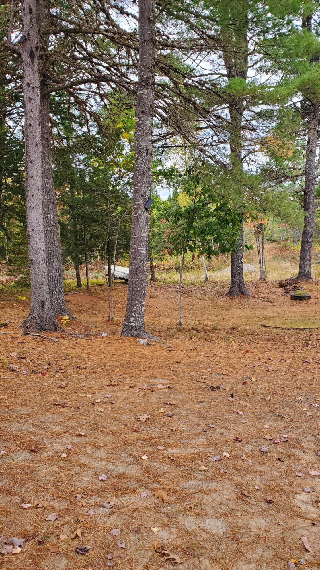 Lot 20 Town Farm Road Greenbush, ME 04418 - Photo 45 of 67 20241003_133936