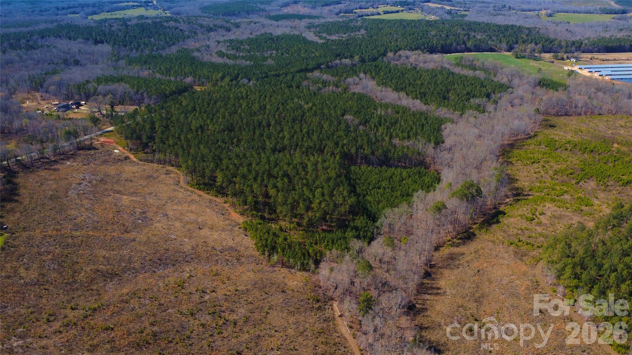 0 Bobby Faucette Road, Unit 6 Jonesville, SC 29353 - Photo 6 of 11
