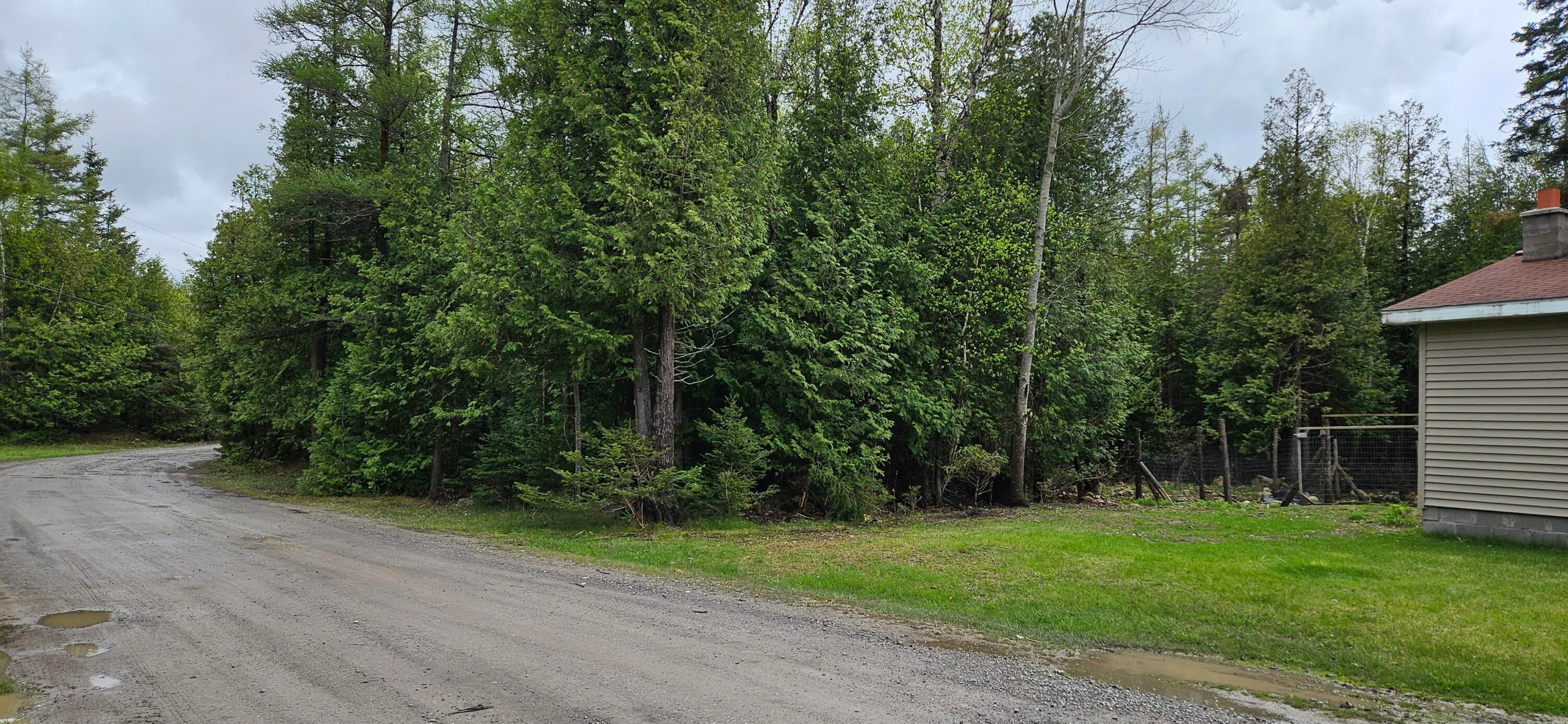 2460 West Hamilton Road Alpena, MI 49707 - Photo 29 of 36 Looking down driveway toward pole barn