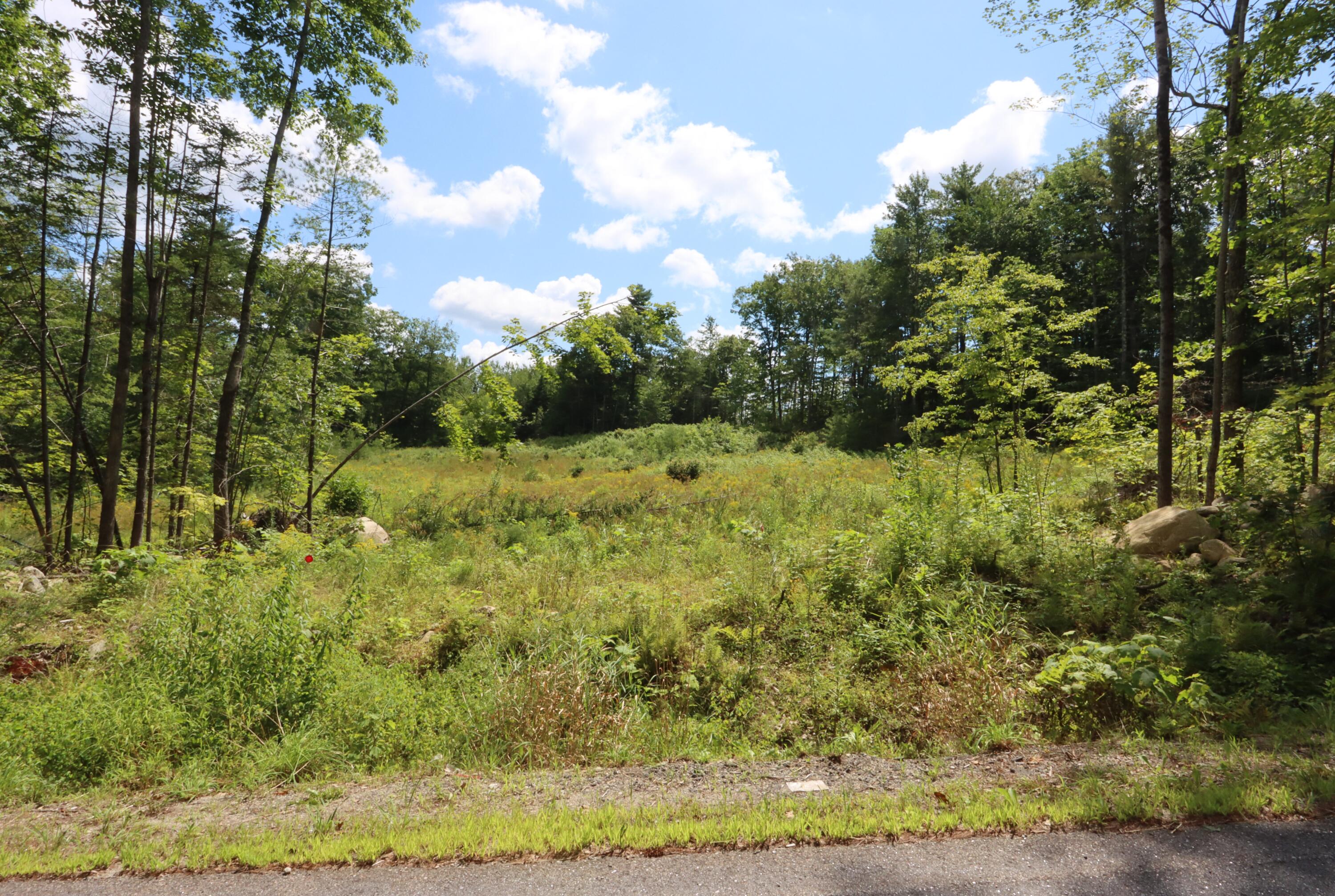 Wiley Road, Partial Lot