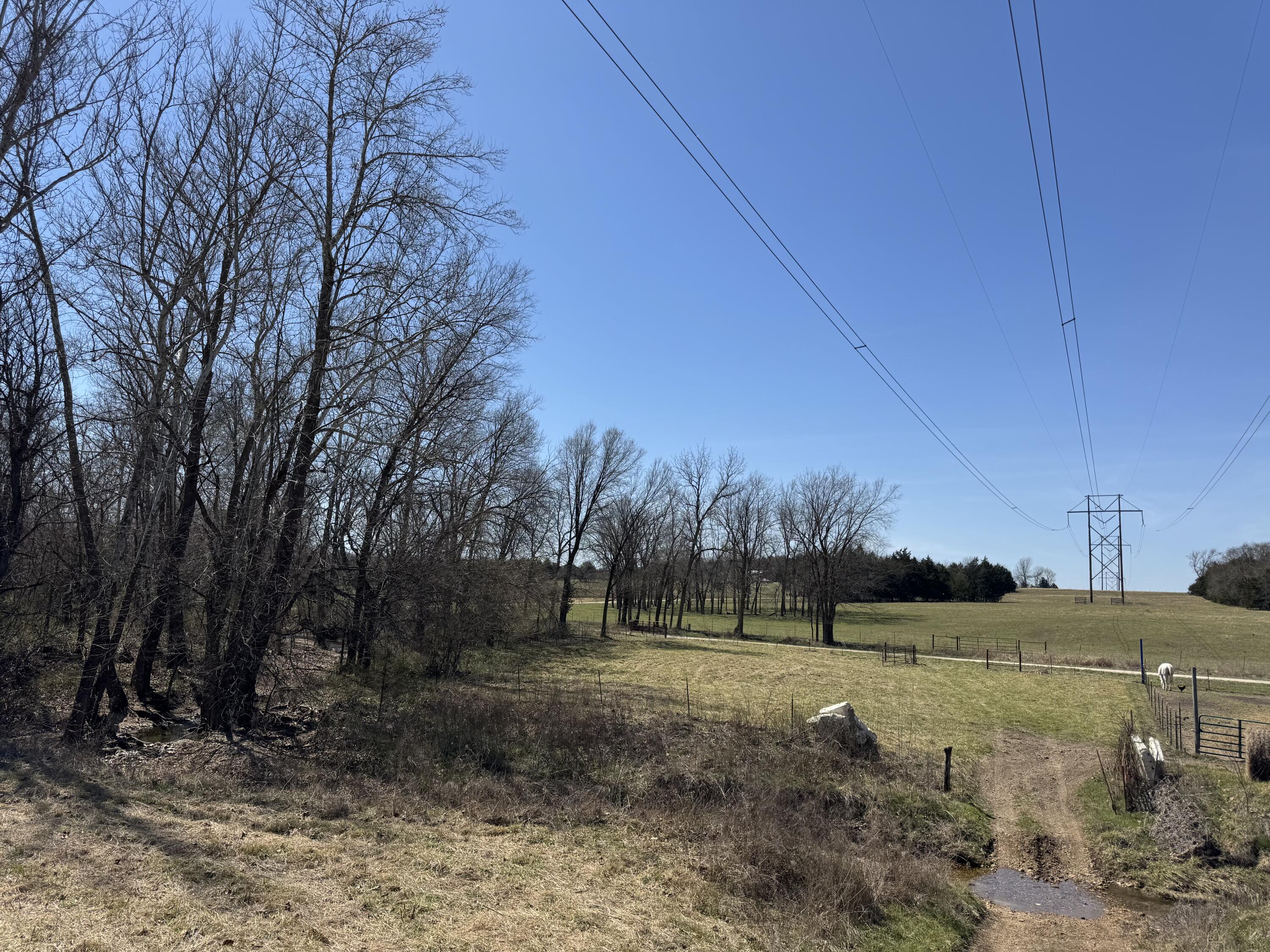 0 Westwind Road Elkland, MO 65644 - Photo 24 of 34 IMG_9976 2