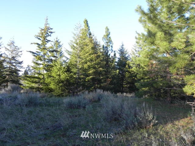 0 Miracle Road Orondo, WA 98843 - Photo 1 of 1 Gallery Image 1