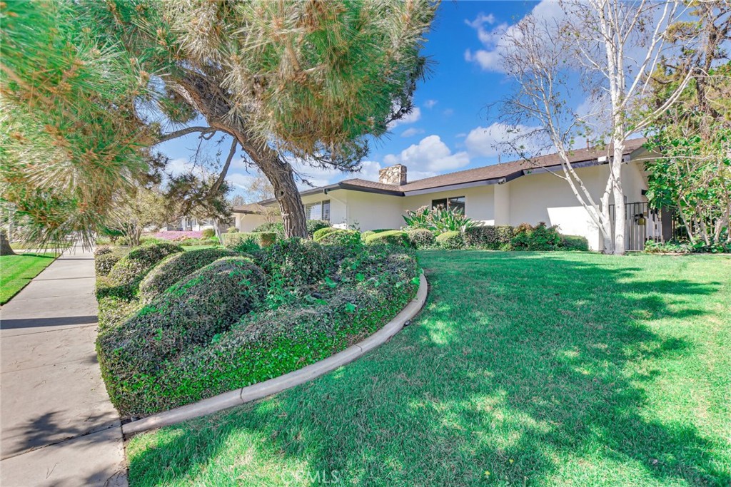 5531 Cornwall Avenue Riverside, CA 92506 - Photo 5 of 69 a view of a house with a backyard