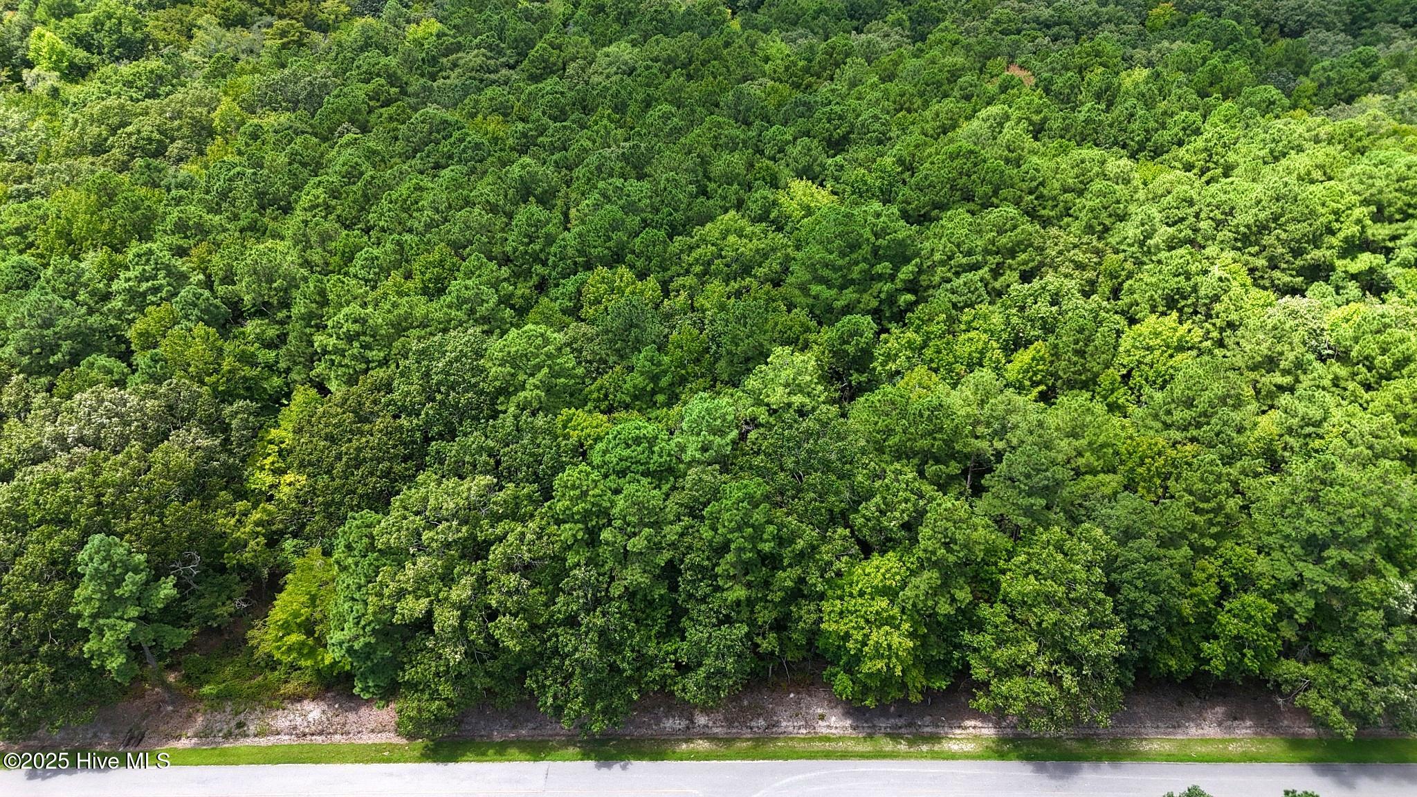 Tbd Boat Ramp Road Hertford, NC 27944 - Photo 1 of 3 Main