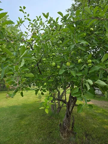 $370,000 | 12916 250th Avenue Northeast, Goodridge, MN 56725