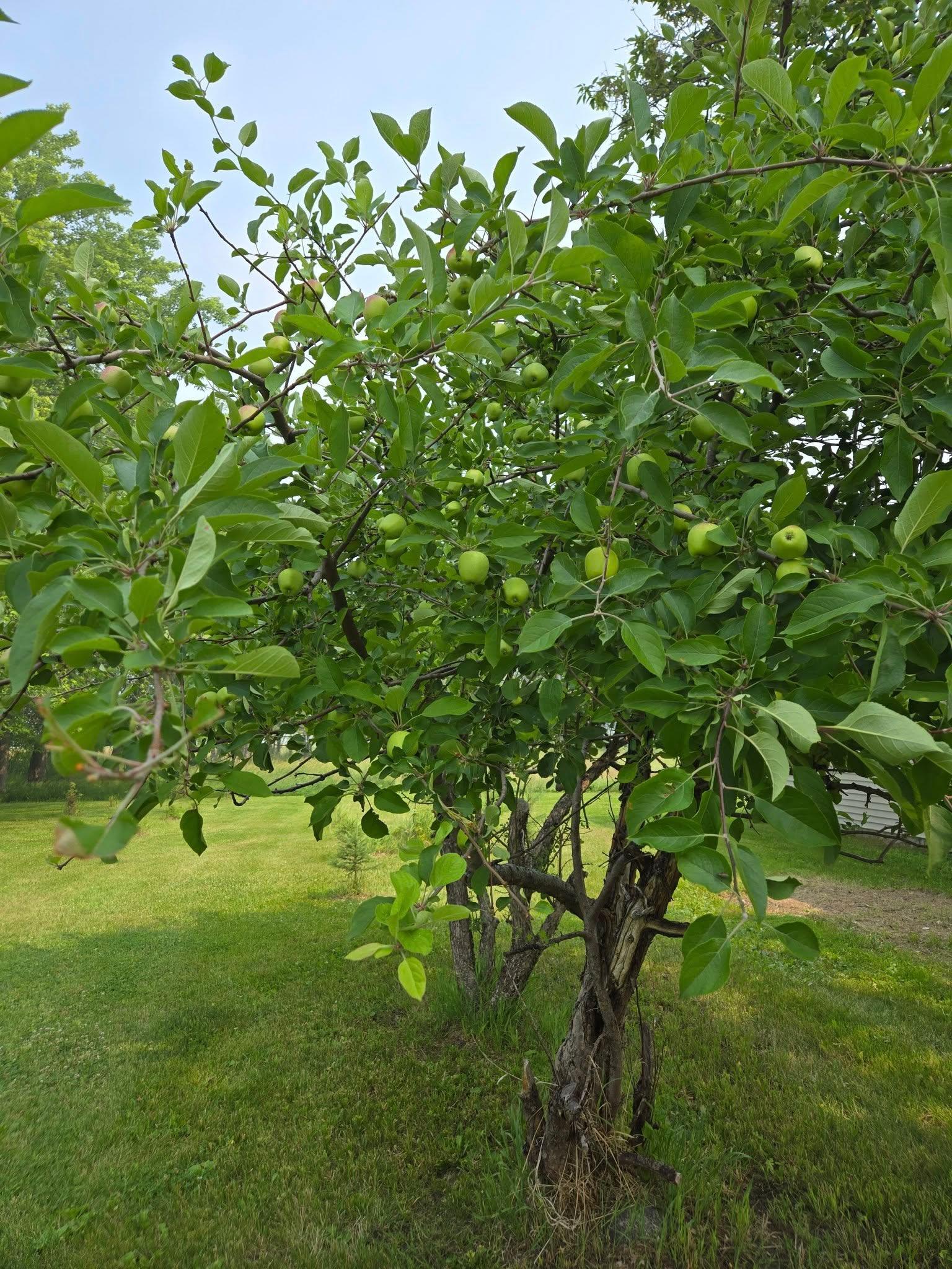 12916 250th Avenue Northeast Goodridge, MN 56725 - Photo 15 of 48