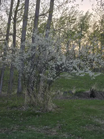 $370,000 | 12916 250th Avenue Northeast, Goodridge, MN 56725