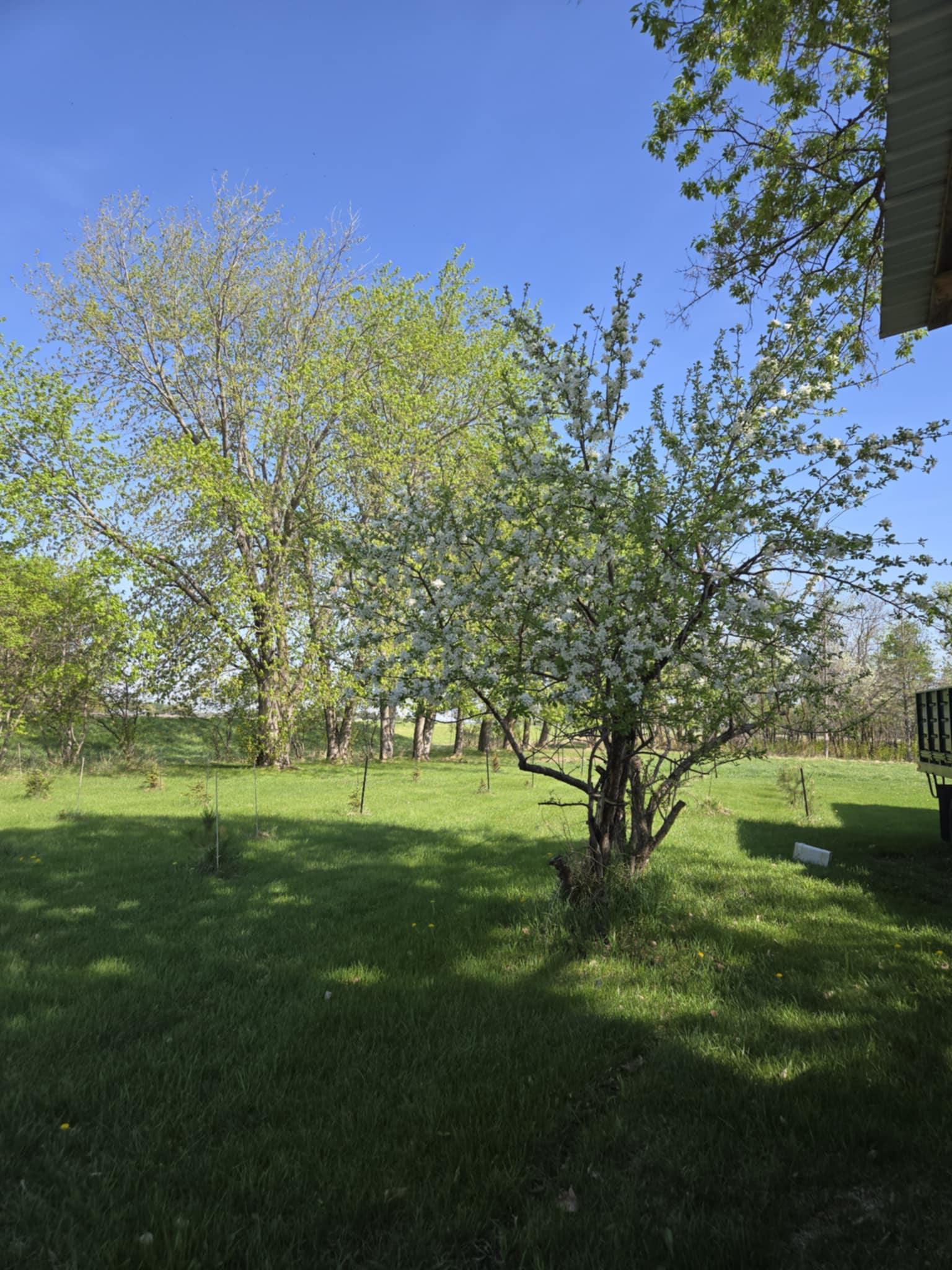 12916 250th Avenue Northeast Goodridge, MN 56725 - Photo 6 of 48