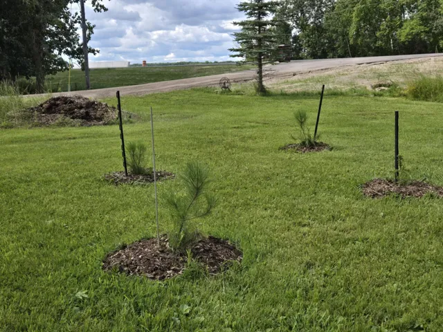 $370,000 | 12916 250th Avenue Northeast, Goodridge, MN 56725