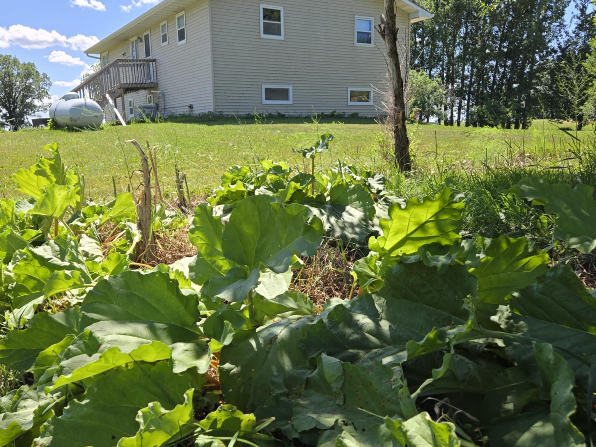 12916 250th Avenue Northeast Goodridge, MN 56725 - Photo 10 of 48