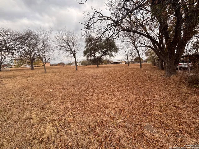 a view of empty space with large trees