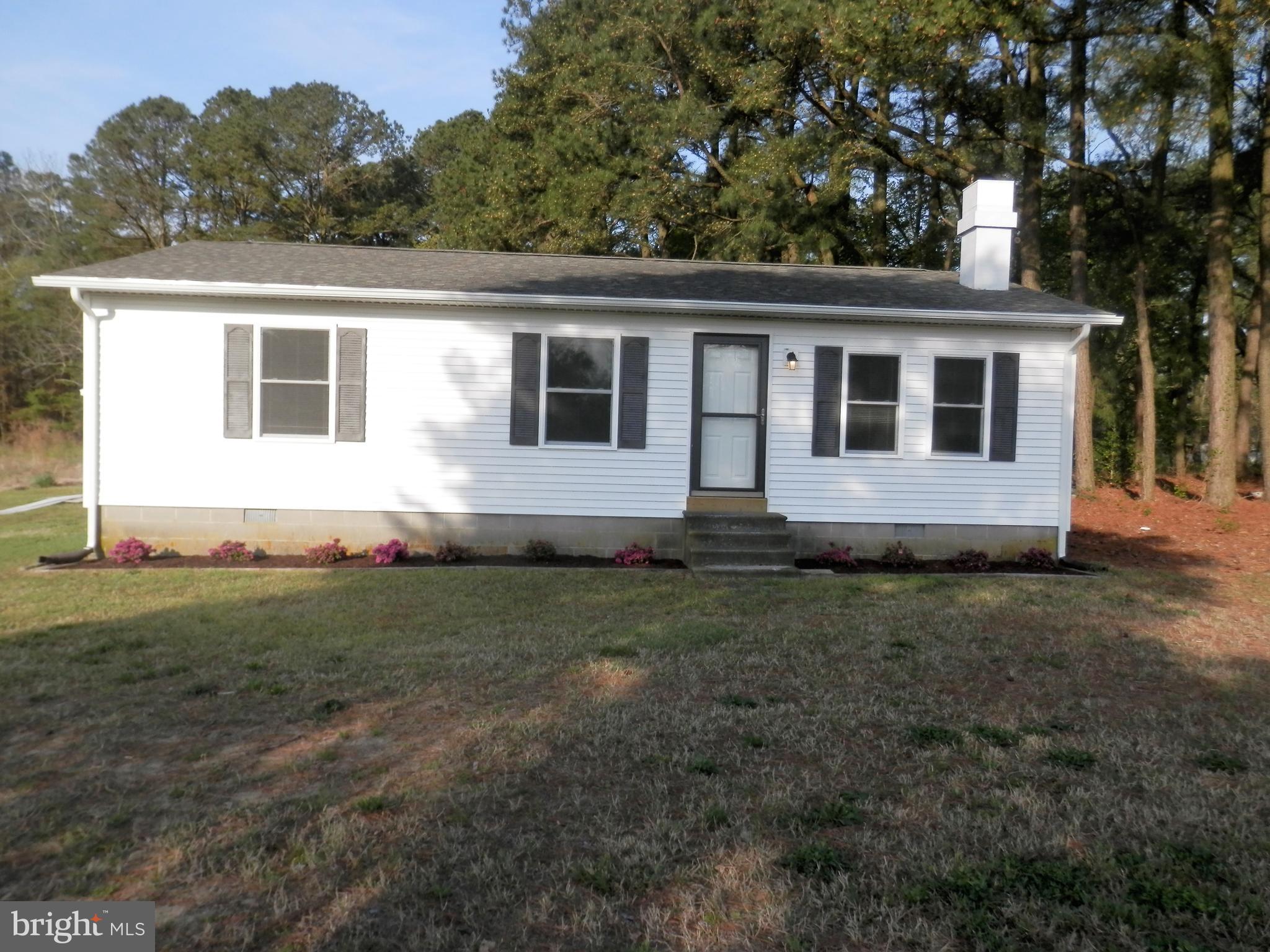 3838 Texas Road Bivalve, MD 21814 - Photo 3 of 36