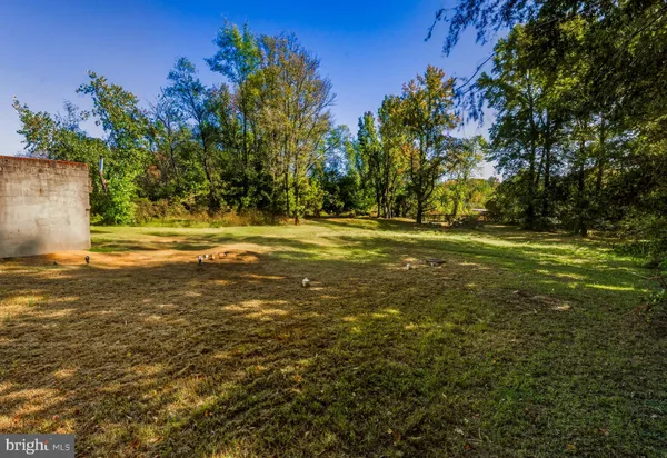 a big yard with lots of trees
