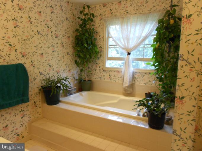 2655 Melba Road Ellicott City, MD 21042 - Photo 21 of 26 Bath (Master)