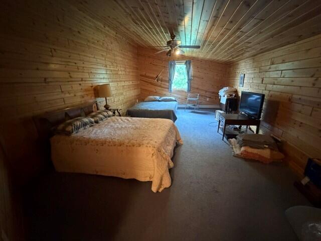14784 South Rue Des Roches Row Barbeau, MI 49710 - Photo 32 of 52 Gallery Image 32